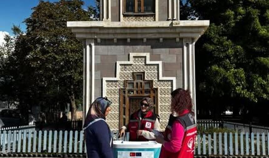 Bir Çocuğun Hayatını Değiştirmek Elinizde! Erzincan’da Koruyucu Aile Seferberliği
