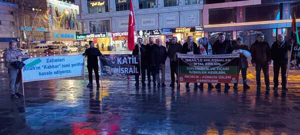 Erzincan Gazze Direnişi 12.01.20 (2)