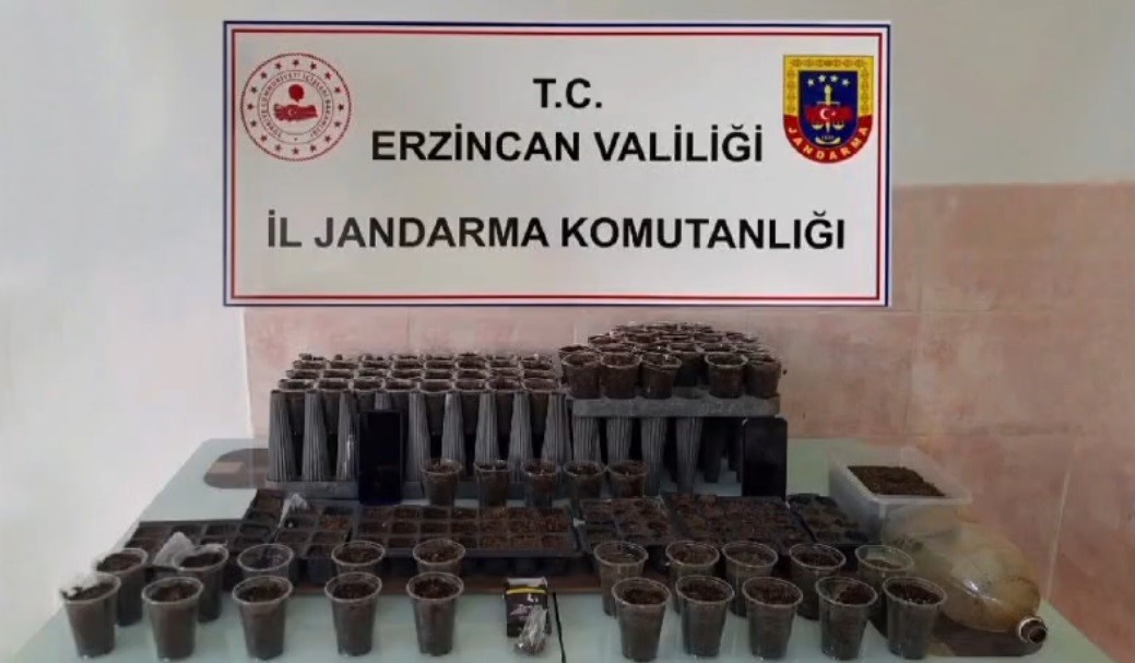 Erzincan’da 6 Eve Uyuşturucu Operasyonu! 1 Tutuklama 2
