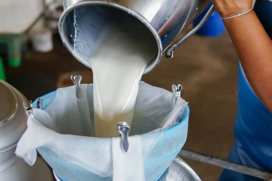 Süt Alım Fiyatına Yüzde 8. 5'Lik Zam Geldi