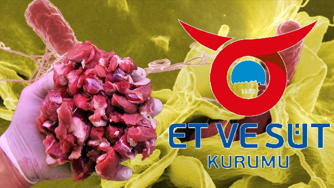 Et Ve Süt Kurumu'nun Etlerinde Salmonella Çıktı, Etler Imha Edilecek