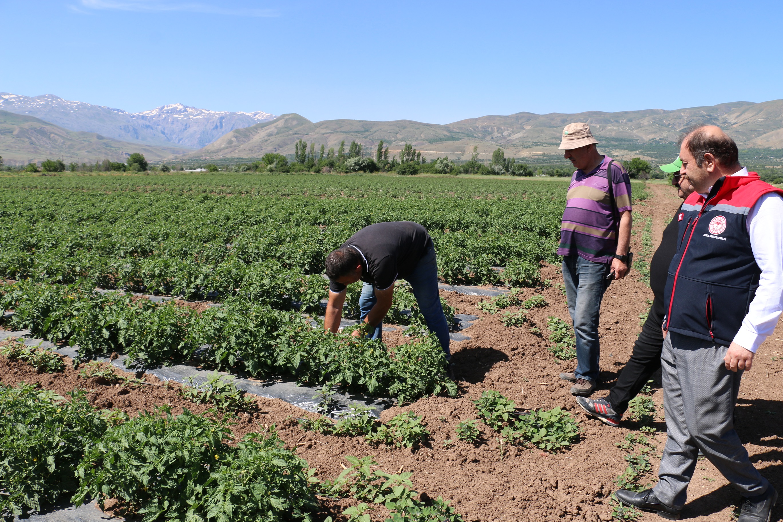 Bu Bir Erzincan Rekorudur (3)