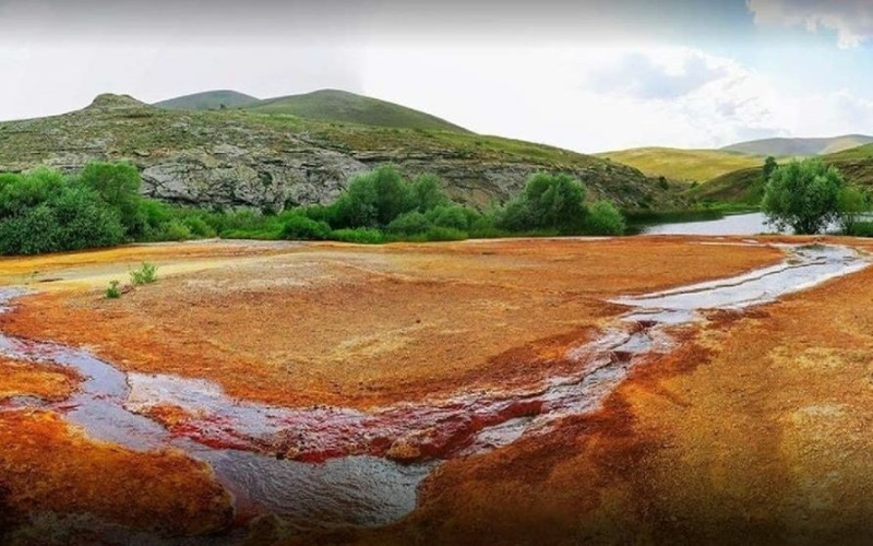 Dünyada Tek Erzincan’da Buluyor. Koruma Altında 3