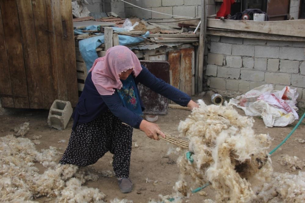 Erzincan’da Koyun Kırkma Zamanı Başladı 3