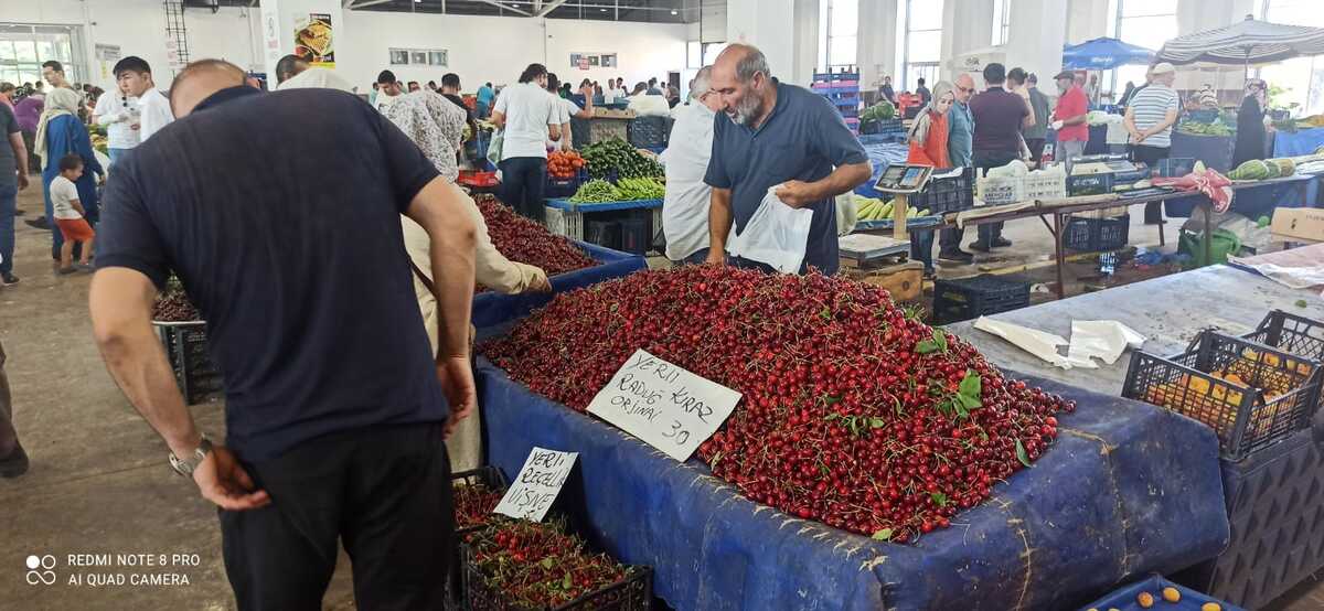 Erzincan’da Yerli Malı Ucuzluğu (6)