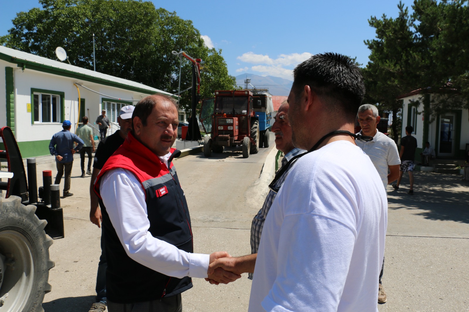 Erzincan Tmo Buğday Alımı (2)