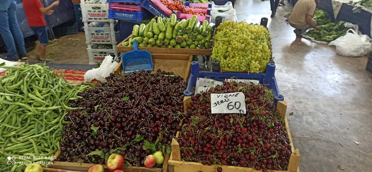 Erzincan’da Sebze Ve Meyve Fiyat