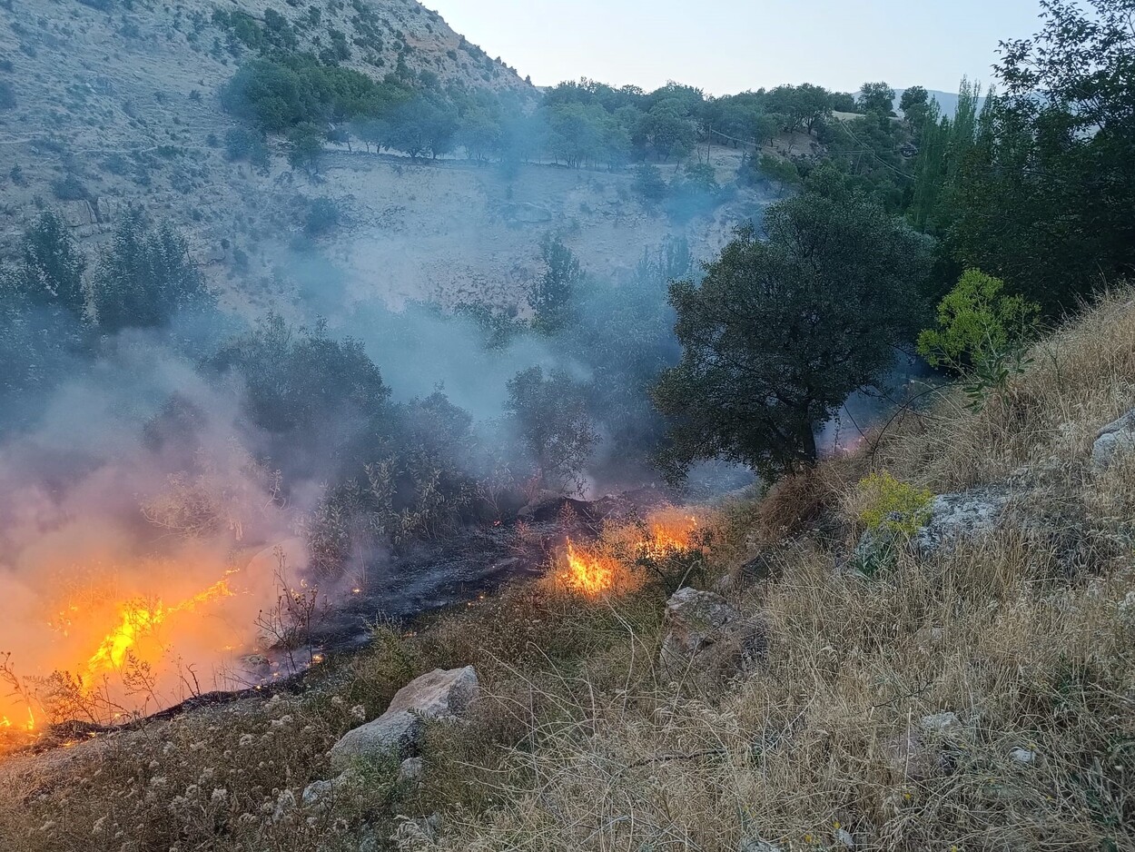 Erzincan'ın Komşu Ilçesinde Yang (1)