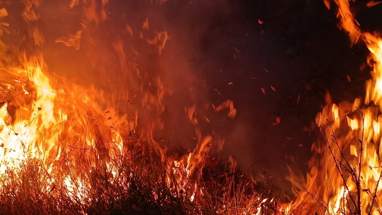 Erzincan'ın Komşu Ilçesinde Yang