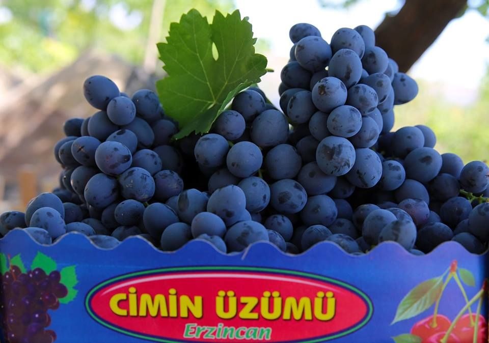 Cimin Üzm