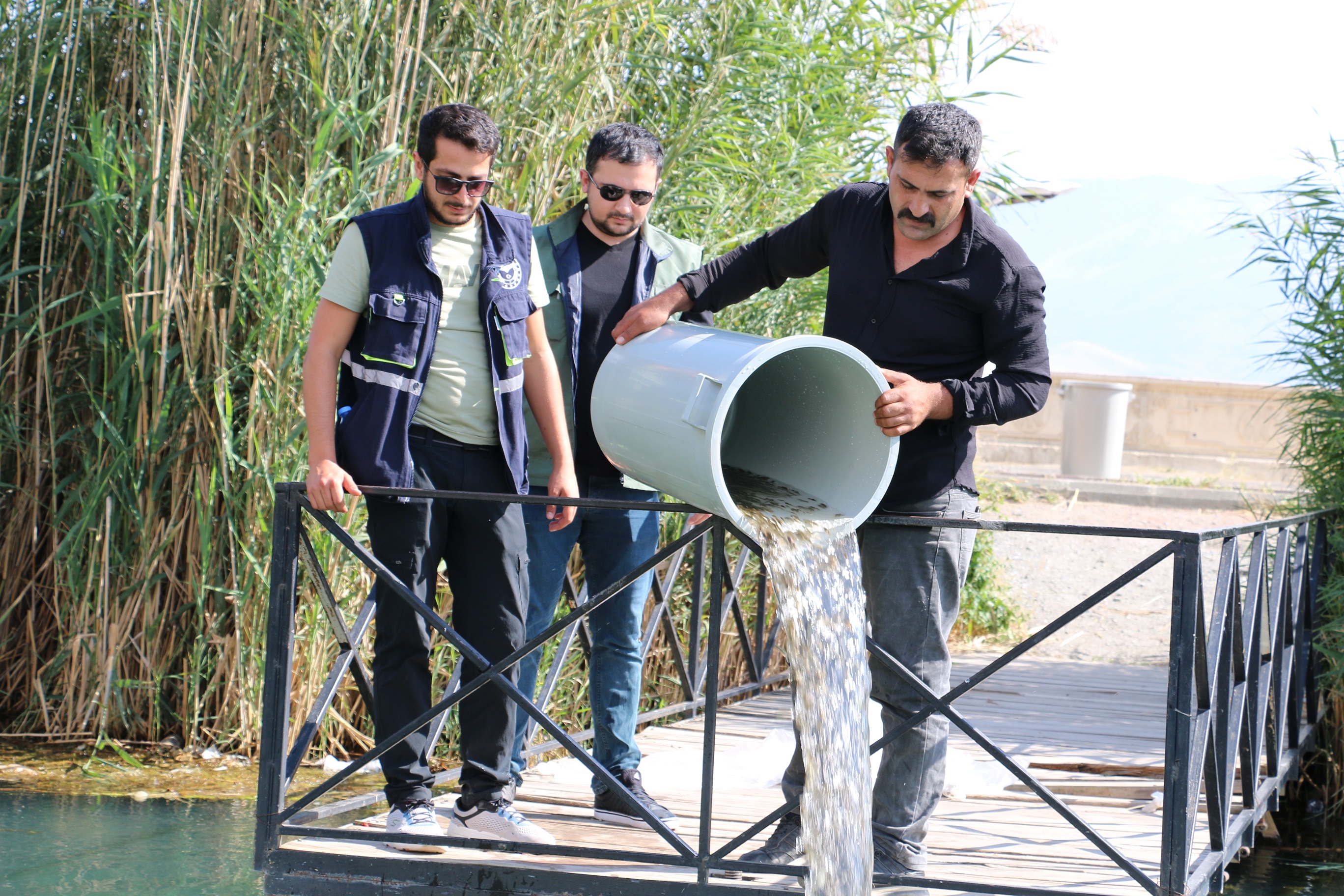 Erzincan Balıklandırma Çalışmaları (1)