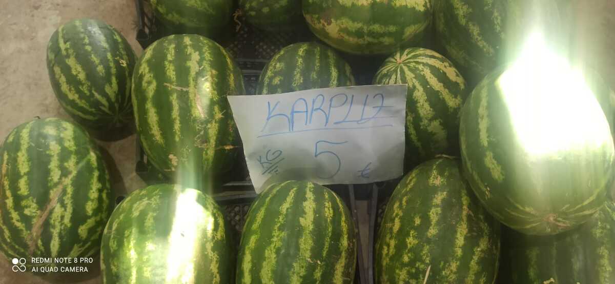 Karpuz Fiyatı 5 Tl