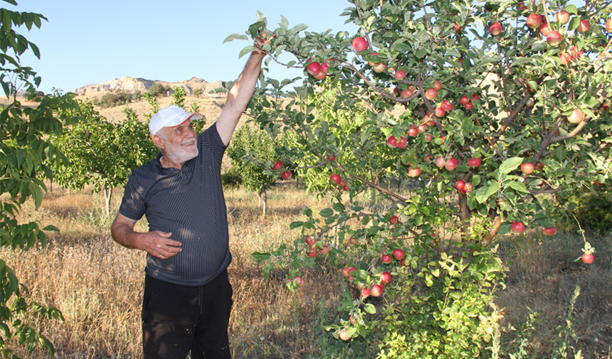 Mümtaz Başkurt Detay