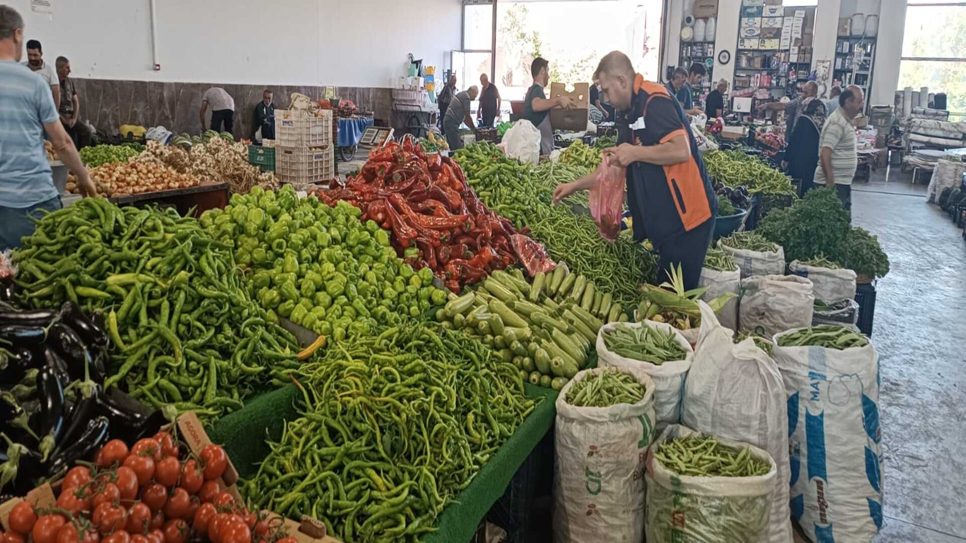 Erzincan’da aşırı sıcaklar üreticiyi vurdu! Domatesin hızına yetişilmiyor  2