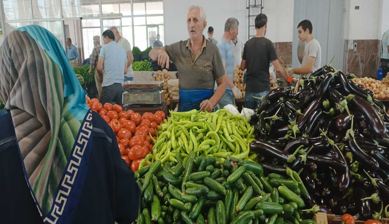 Erzincan’da aşırı sıcaklar üreticiyi vurdu! Domatesin hızına yetişilmiyor 1