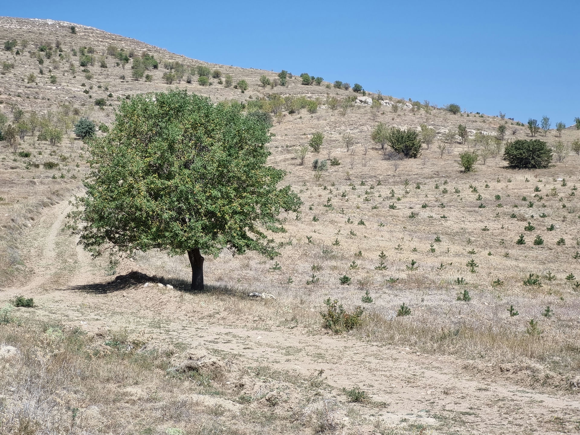 Çekül Vakfı Erzincan Sahasında Inceleme (2)