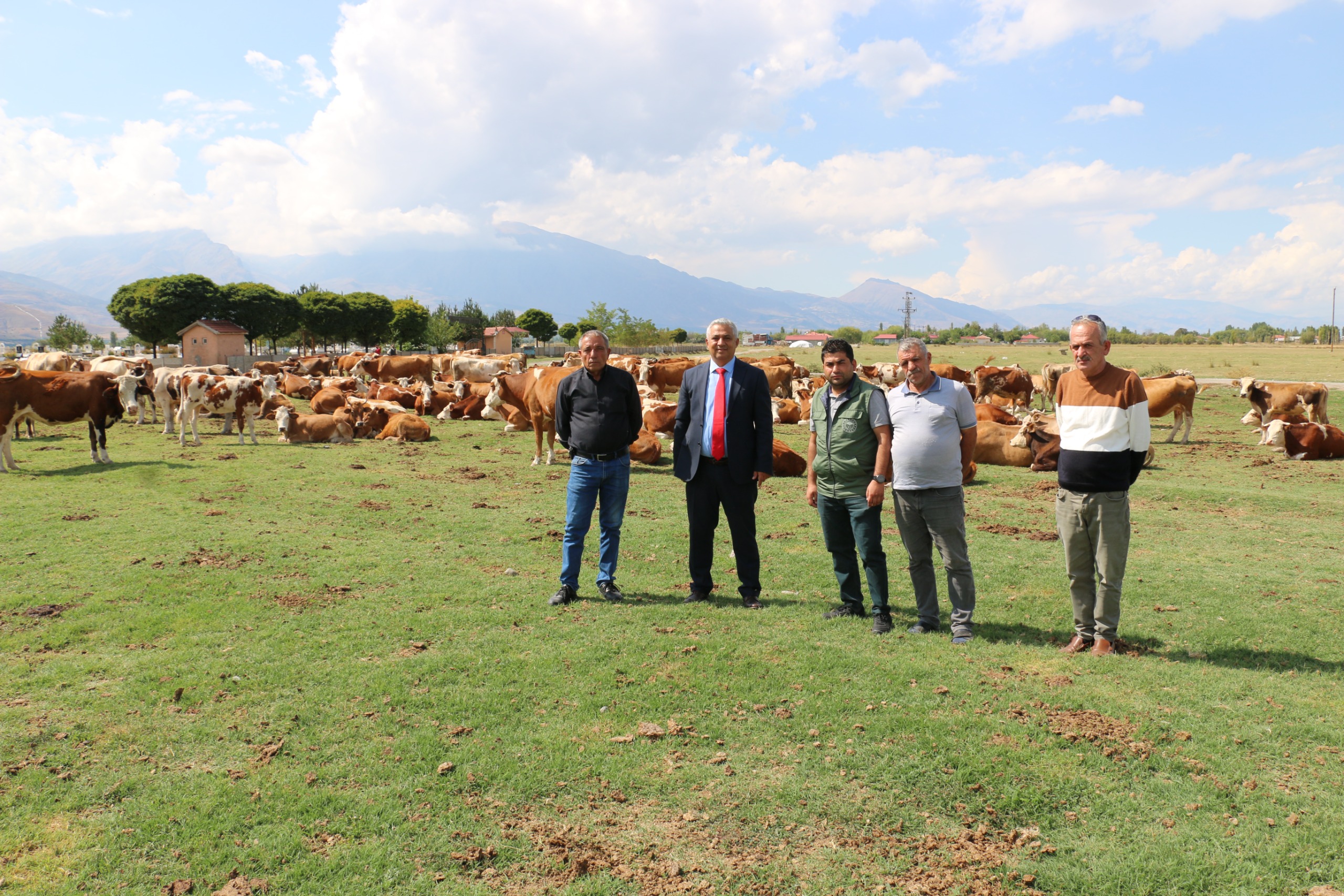 Erzincan Mera Islah Projeleri İncelendi (6)