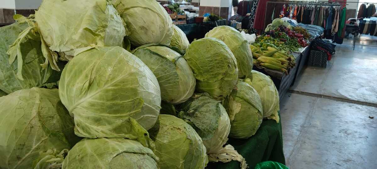 Erzincan Pazarında Turşuluk Lahana