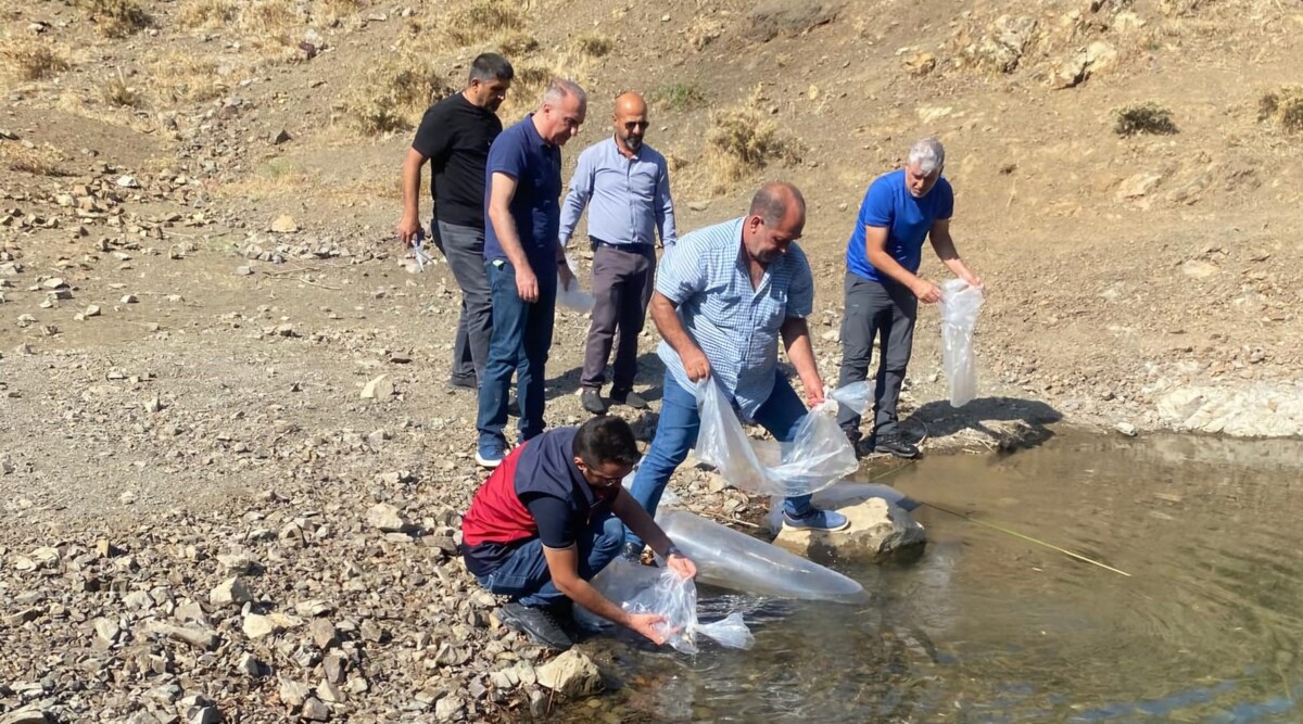 Erzincan Sınırındaki Doğal Göl Canlanacak 2