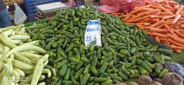 Erzincan’da Turşuluk Sebzeler Kornişon, Acur, Havuç