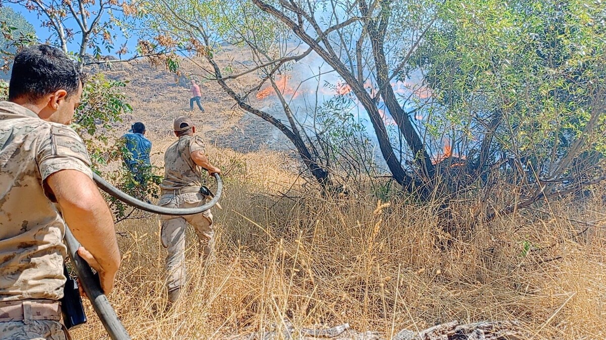 Ovacık’ta Çıkan Yangında 11 Hekt