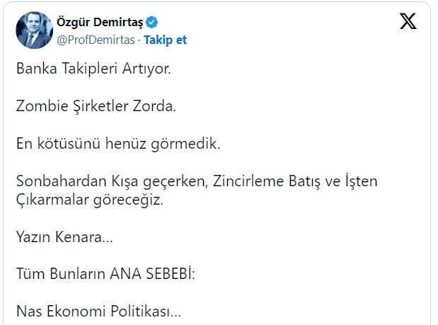 Özgür Demirtaş-1