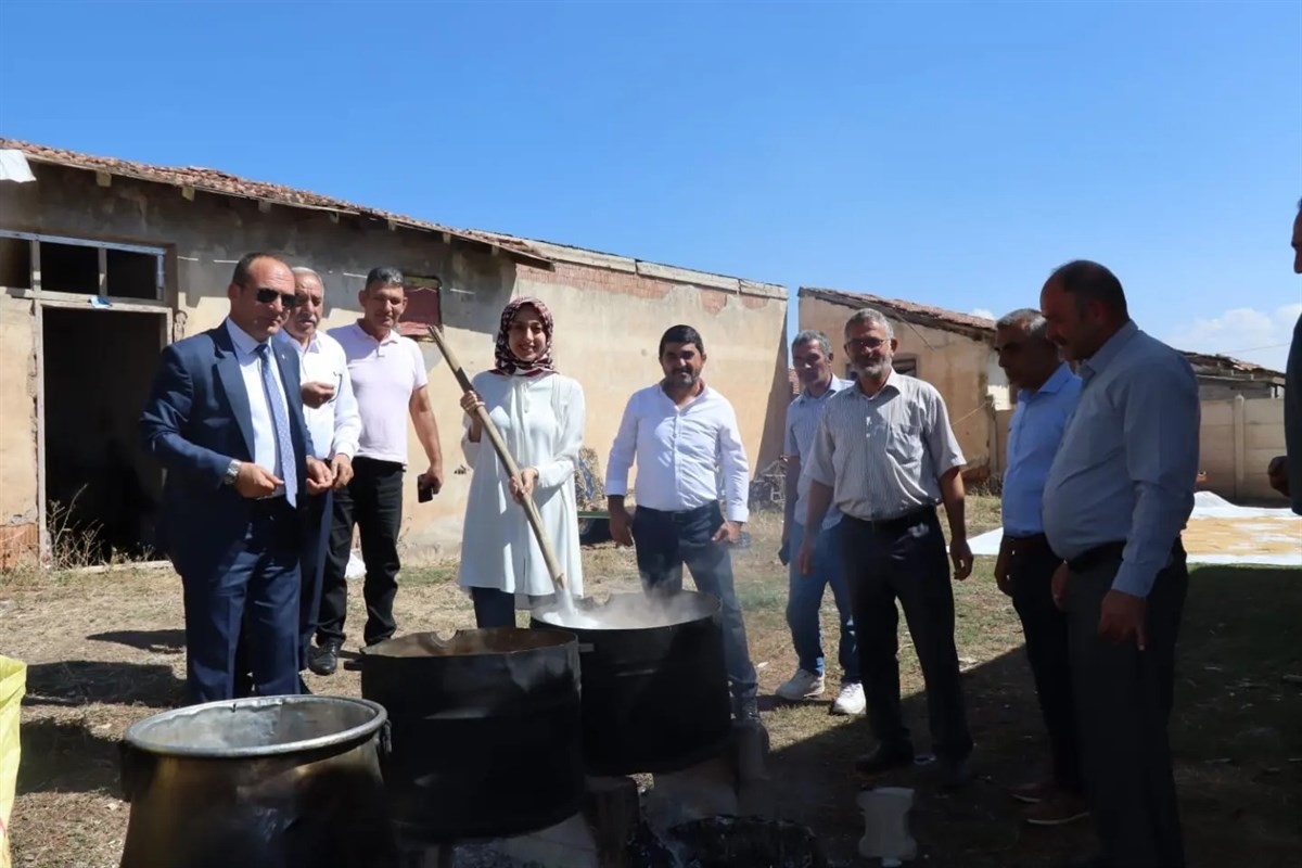 Tercan Kaymakamı Hasat (1)