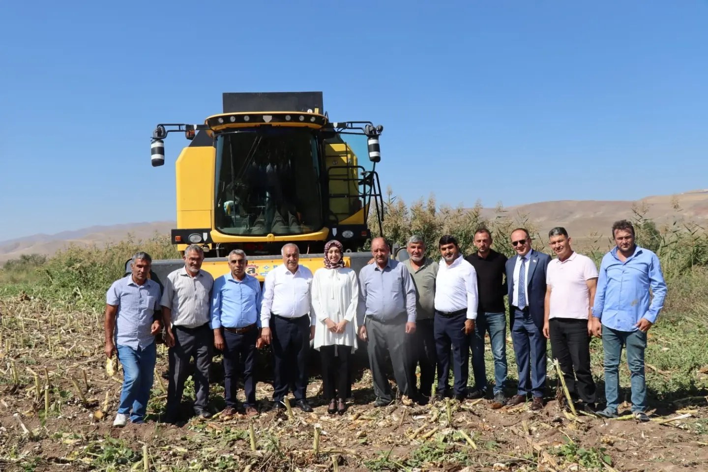 Tercanda Ayçiçeği Biçim Fiyatları Açıklandı