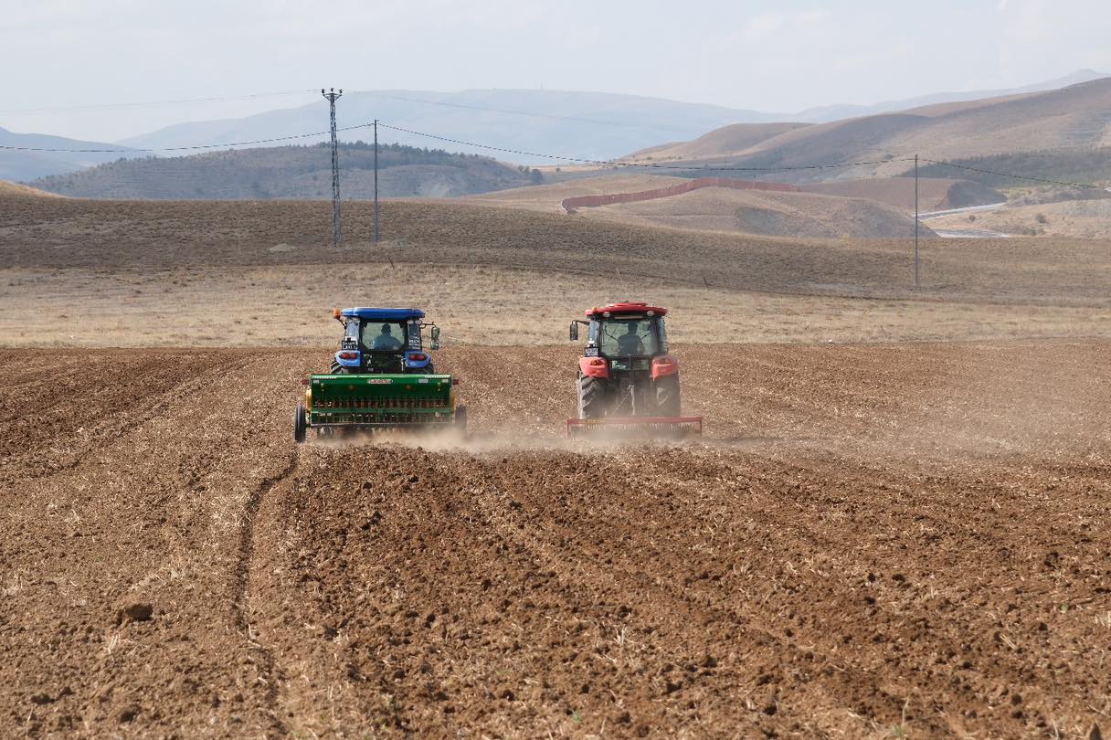 Erzincan Belediyesi Tarımda Verimliliği Artırmak İçin Güzlük Ekimi Gerçekleştiriyor