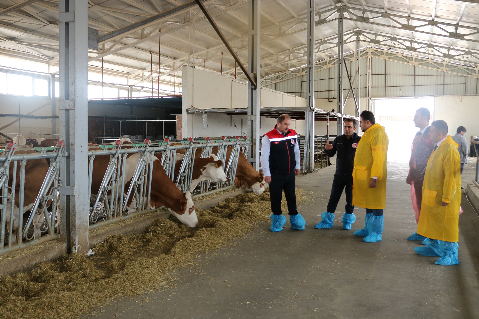 Erzincan’da Ari Işletme Çalışmaları Hız Kazandı (4)