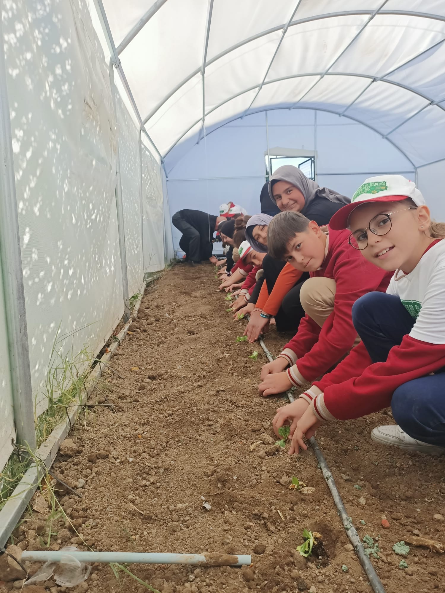 Erzincan’da Okuldaki Çiftlik Kışlık Sebze Üretecek (5)