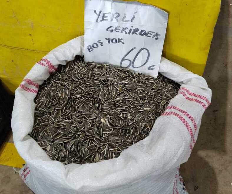 Erzincan’da Zirai Don Tehlikesi Ayçiçek Çekirdeği 1