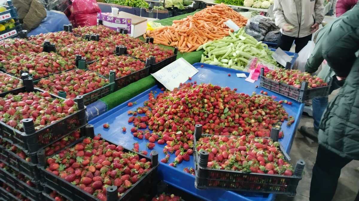 Erzincan’da Zirai Don Tehlikesi Çilek