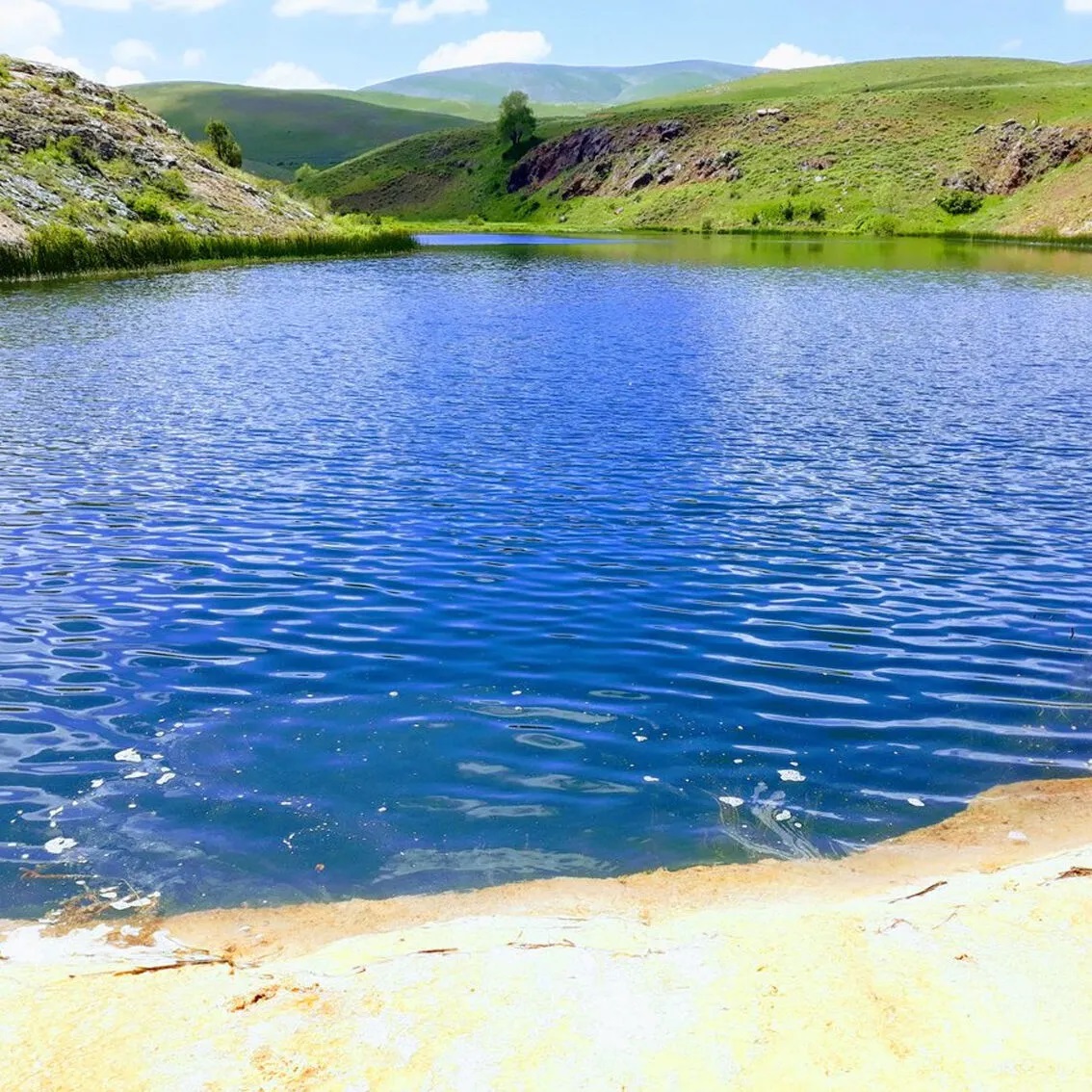 Yenibirlik'ten Erzincan'a Özel Tanıtım.. (1)