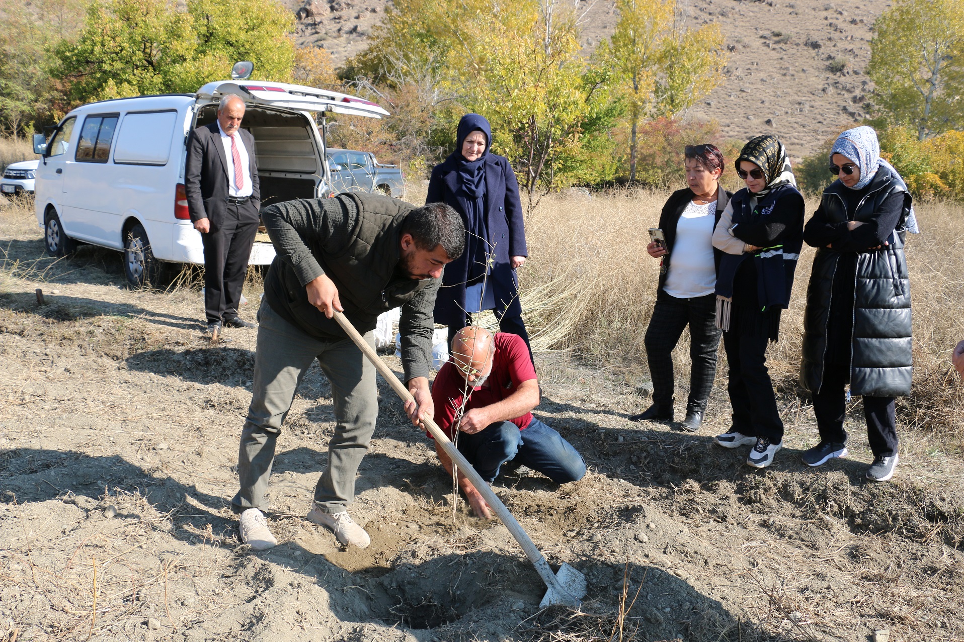 Erzincan Goji Berry 2