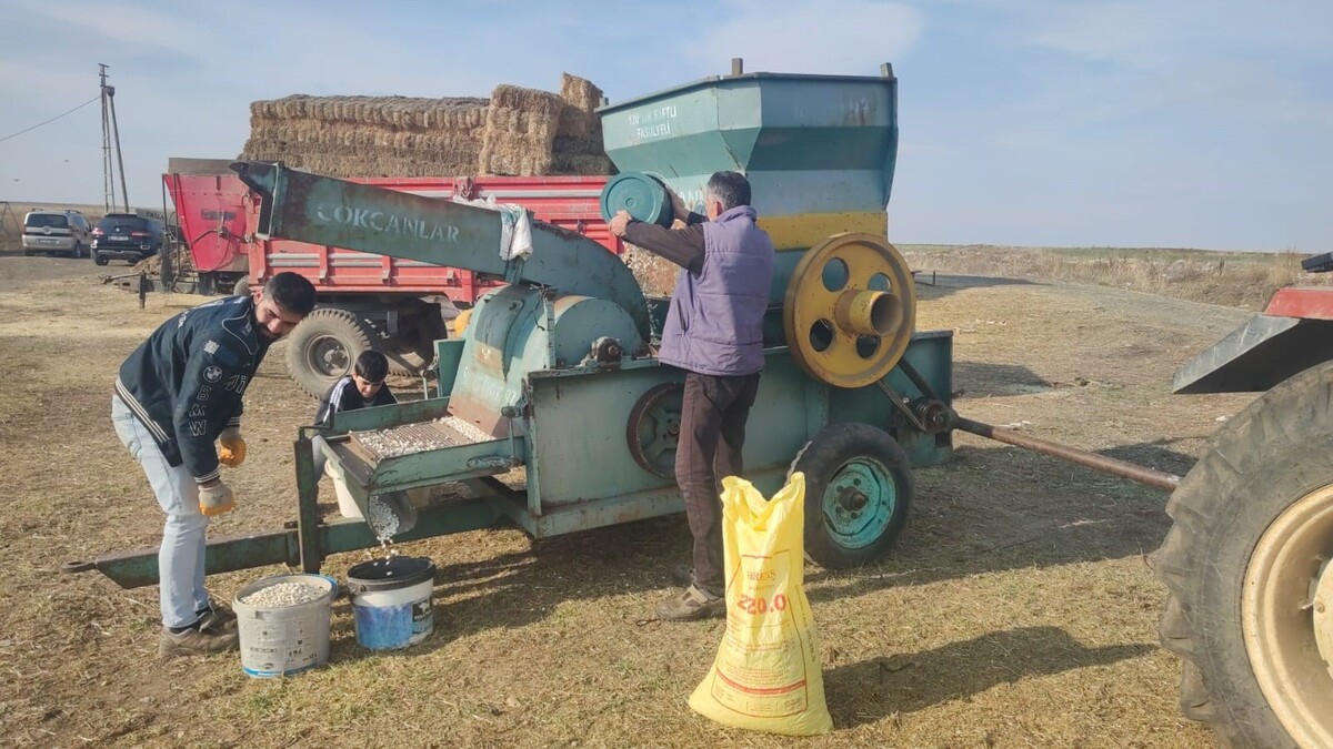 Erzincan Yolu Üzerindeki 200 Yıllık Ata Tohumu