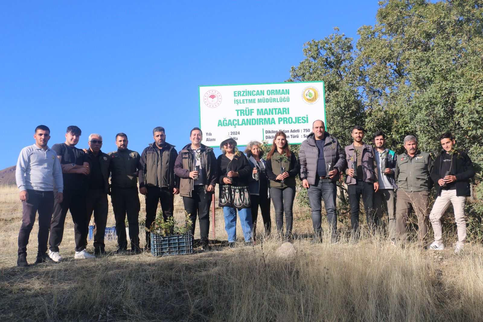 Erzincanda Trüf Mantarı Ormanı Oluşturuldu (2)