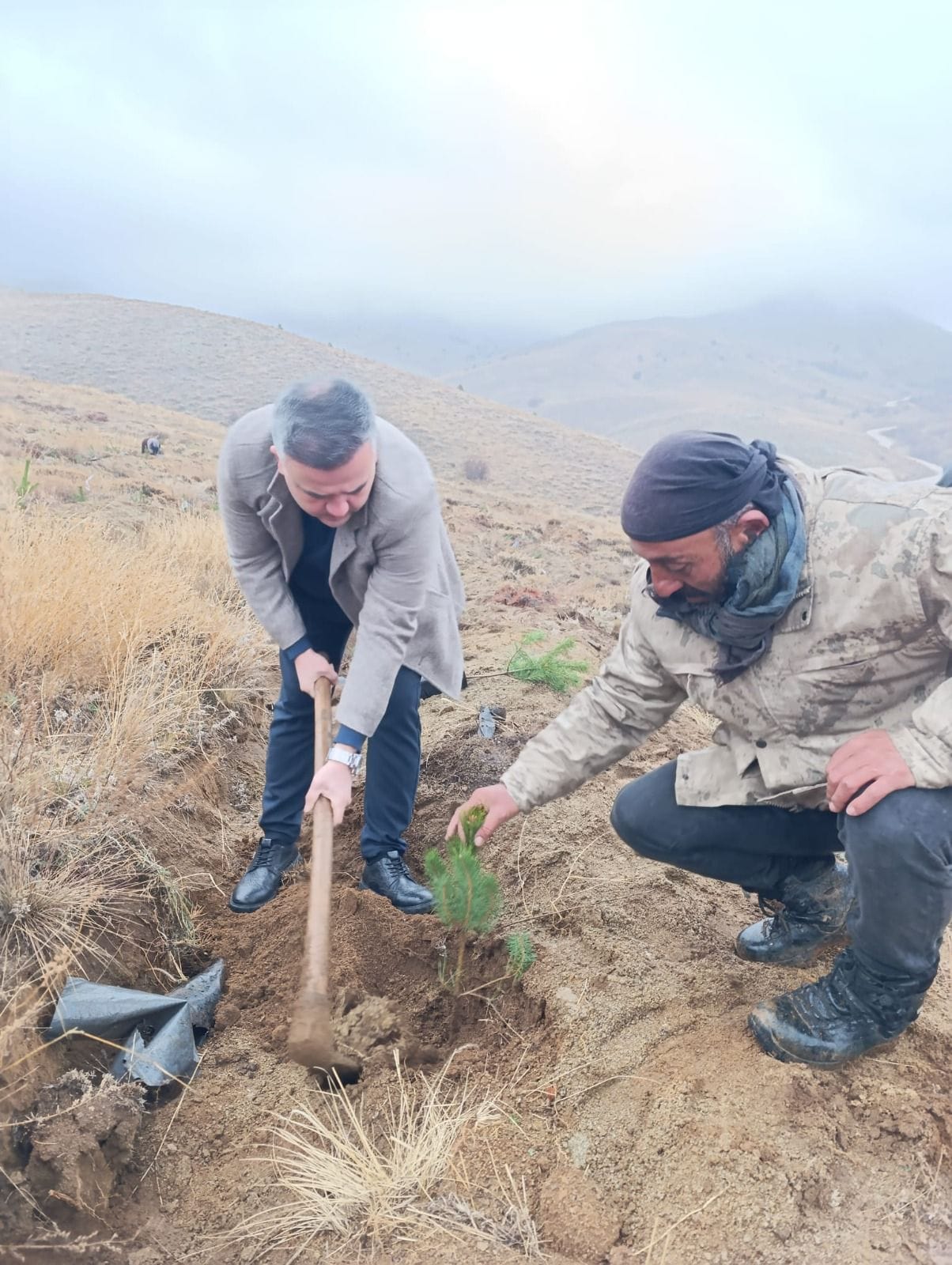 Erzincan’da Yeşil Vatana Yatırım Sürüyor… (4)