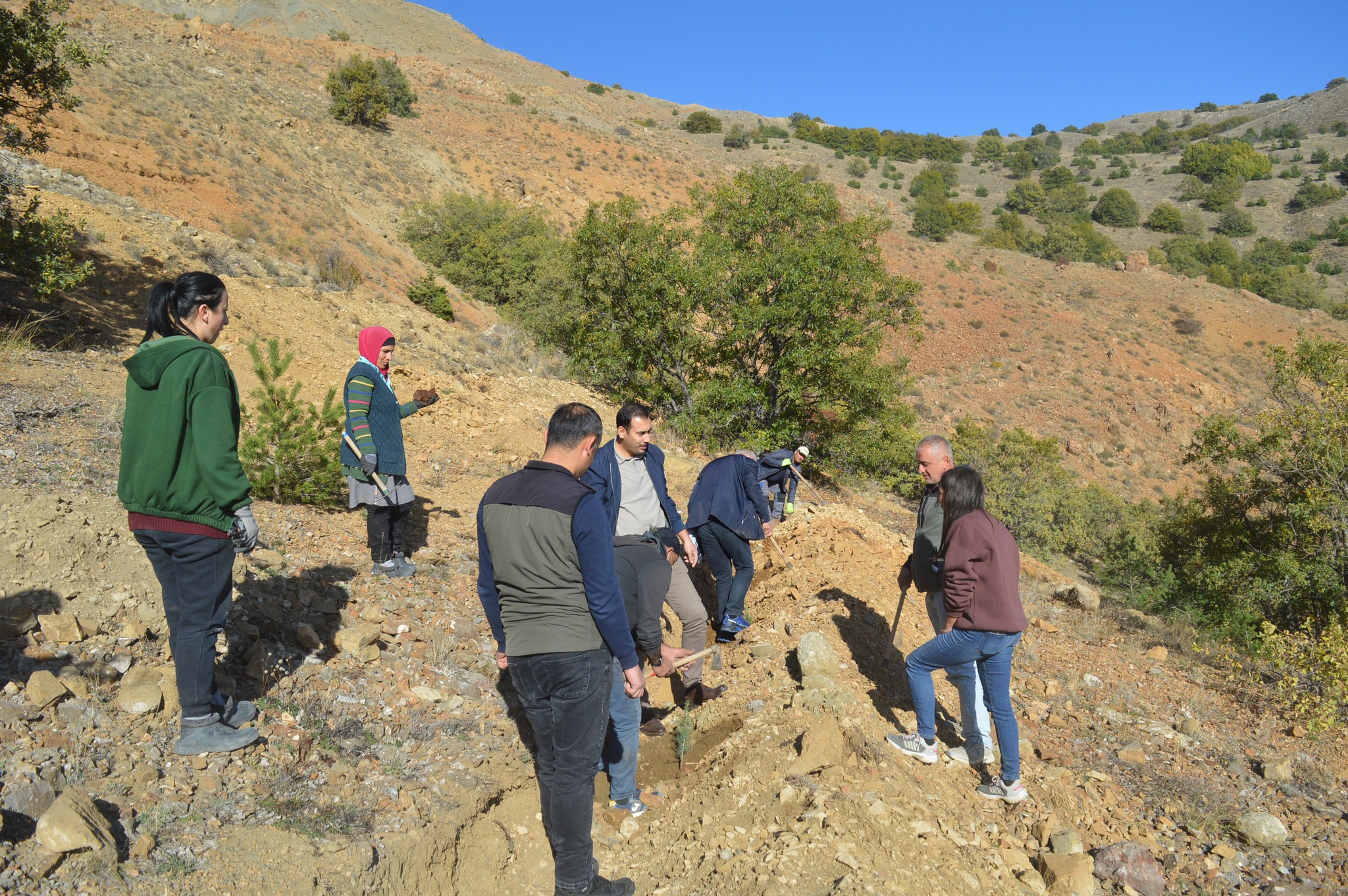 Erzincan’ın O Köyüne 25 Bin Fidan Dikiliyor… (1)