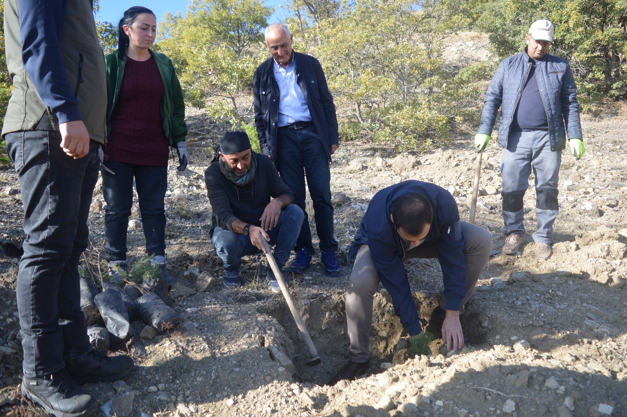 Erzincan’ın O Köyüne 25 Bin Fidan Dikiliyor… (2)