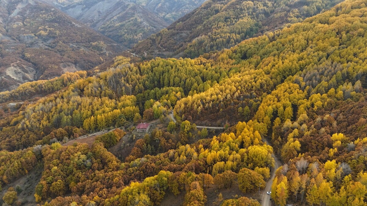 Erzincan’ın Yanı Başındaki Dünya