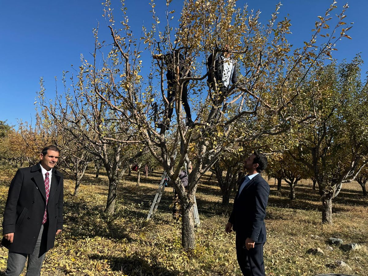 Genetik Hazine Erzincan Kışına Hazırlanıyor… (4)