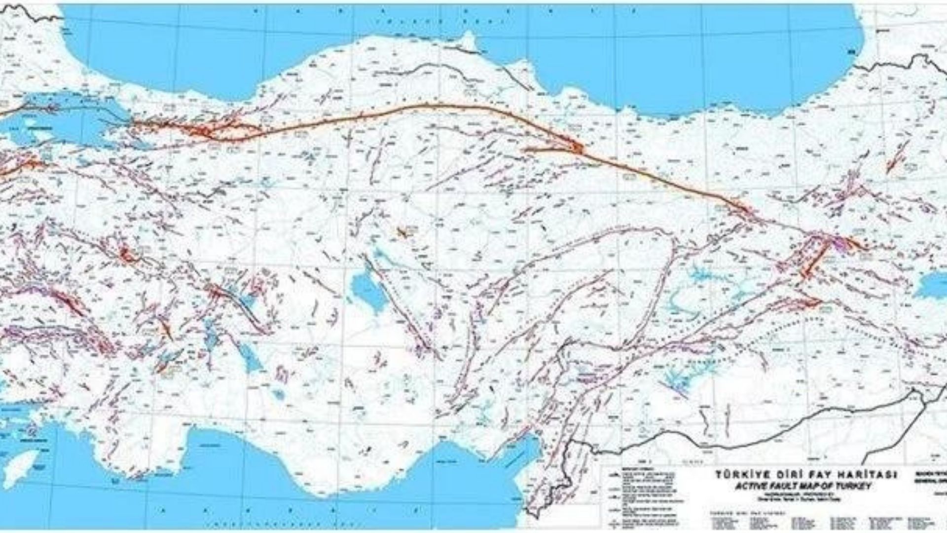 Türkiye Deprem Haritası