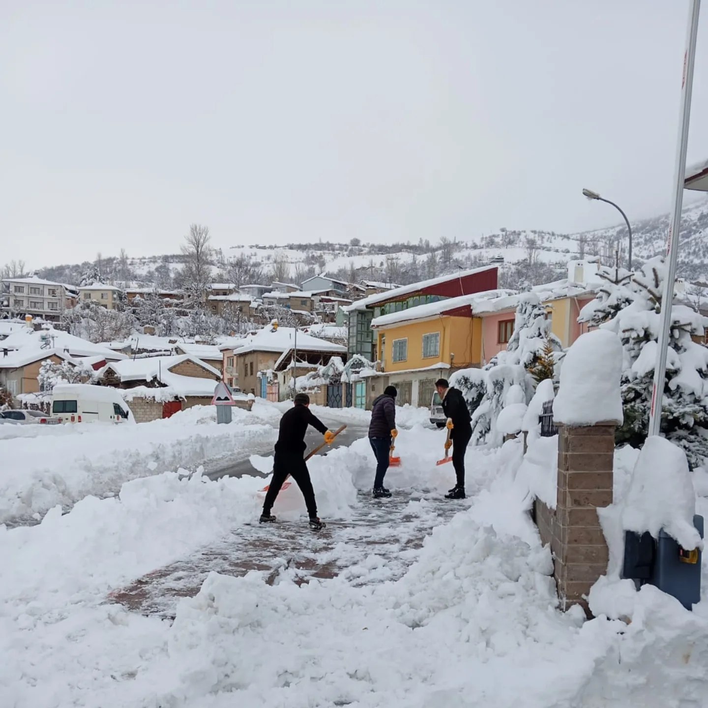 Üzümlü Normale Dönmeye Çalışıyor.. (1)