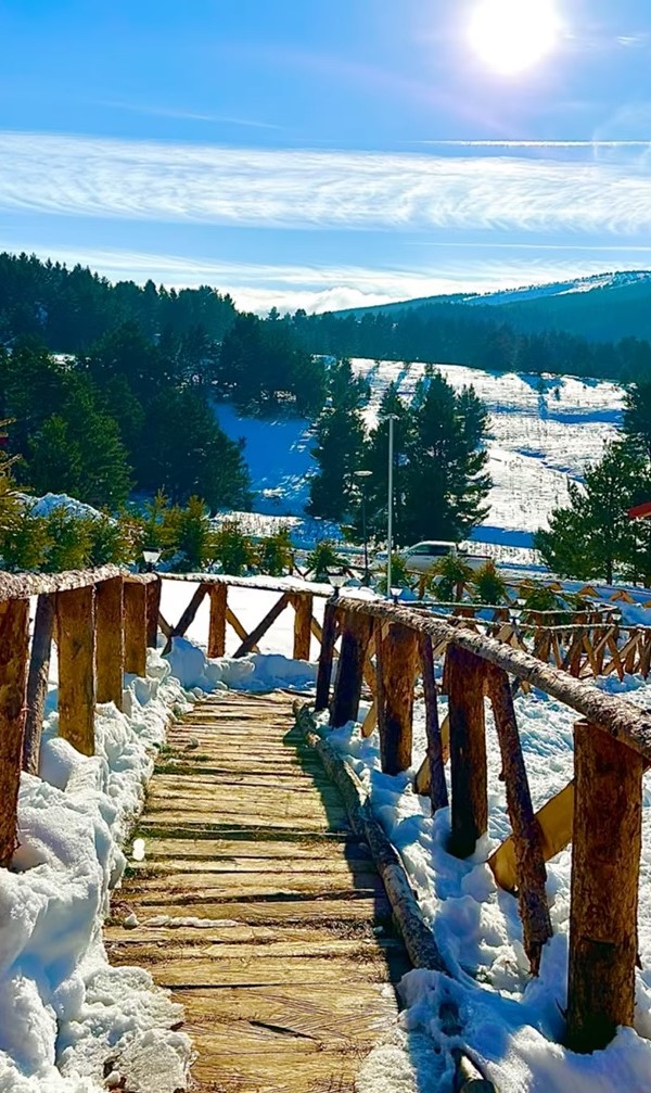 Refahiye Dumanlı Ahşap Evler5