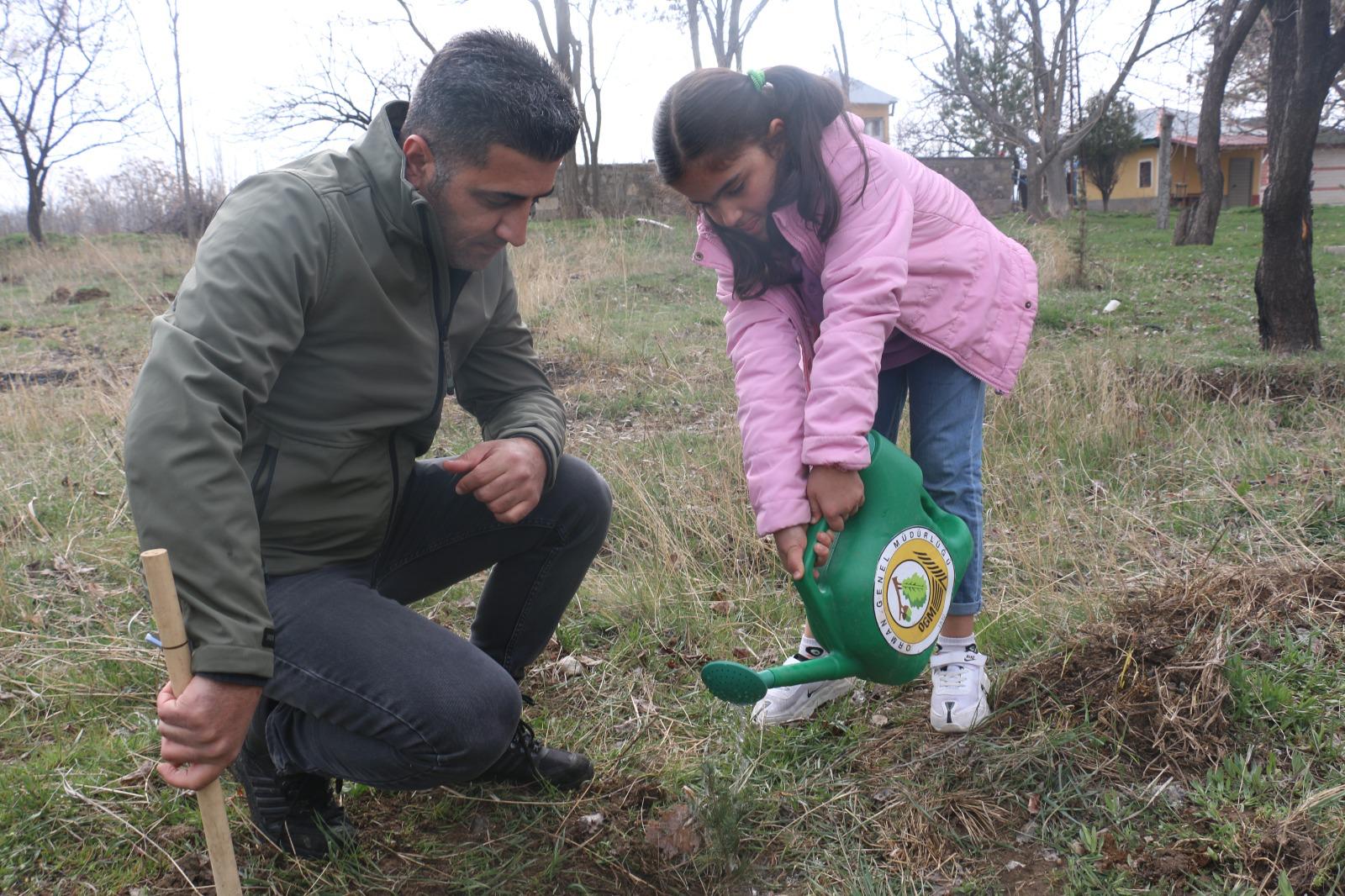 Erzincan Ağaçlandırma (6)