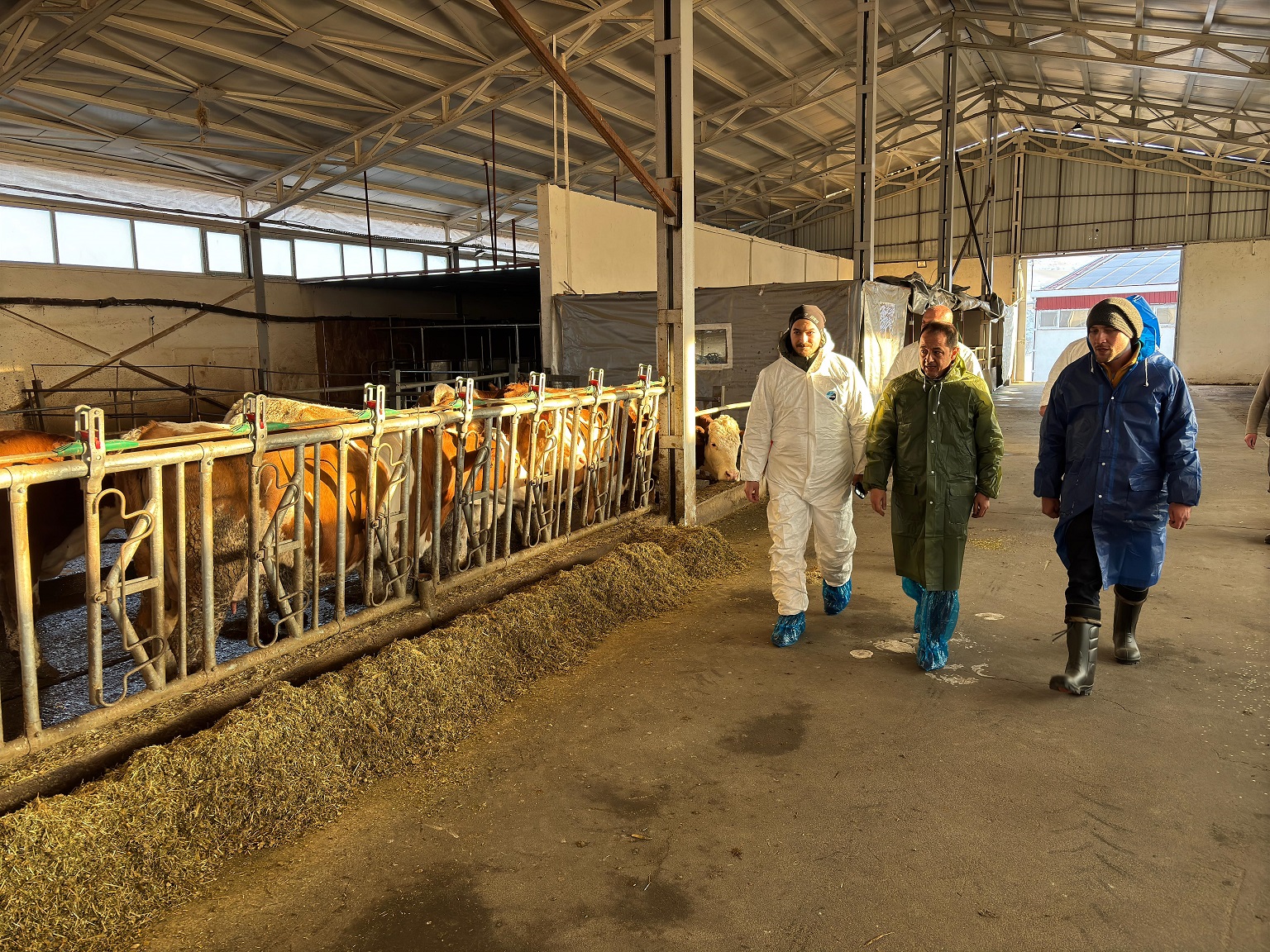 Erzincan Ari Işletme Çalışmaları (5)