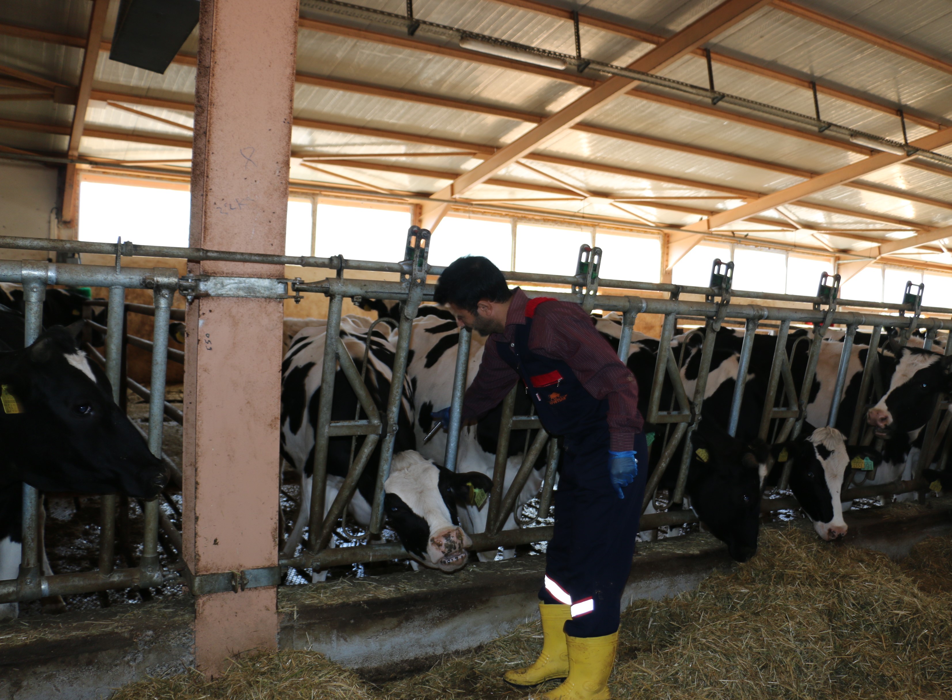 Erzincan’da 1Milyon 170 Bin Doz Aşılama Yapıldı.. (1)