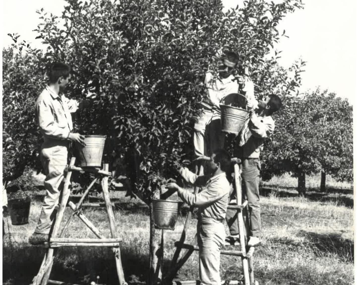 Erzincan'da 98 Yaşındaki Kurum Arşivinden Nostaljik Erzincan Fotoları.. (2)