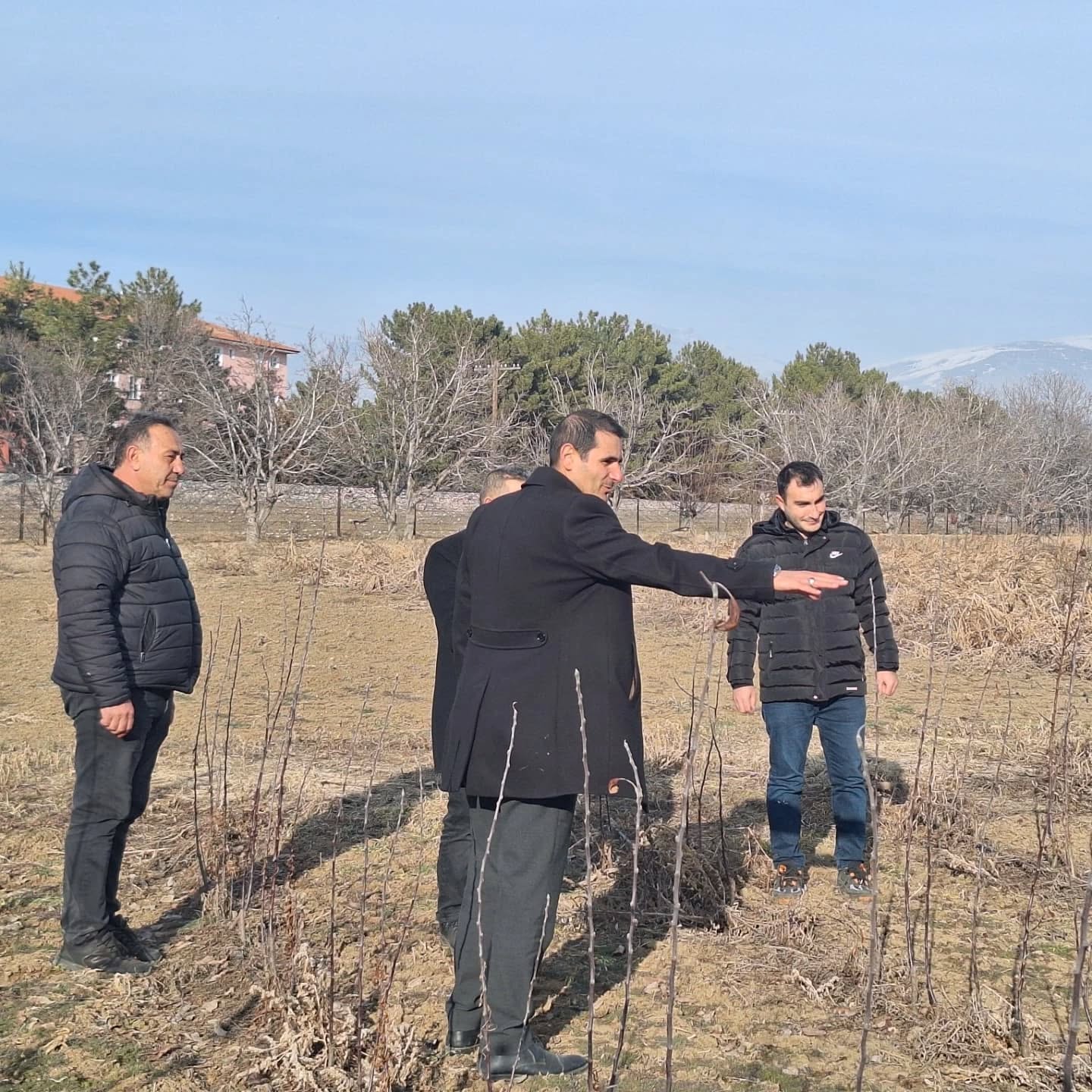 Erzincan Bahçe Kültürleri Araştırma Fidan Üretimi (5)